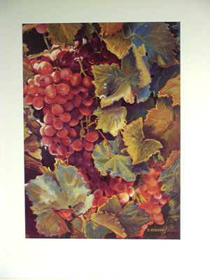 Limited Edition Print